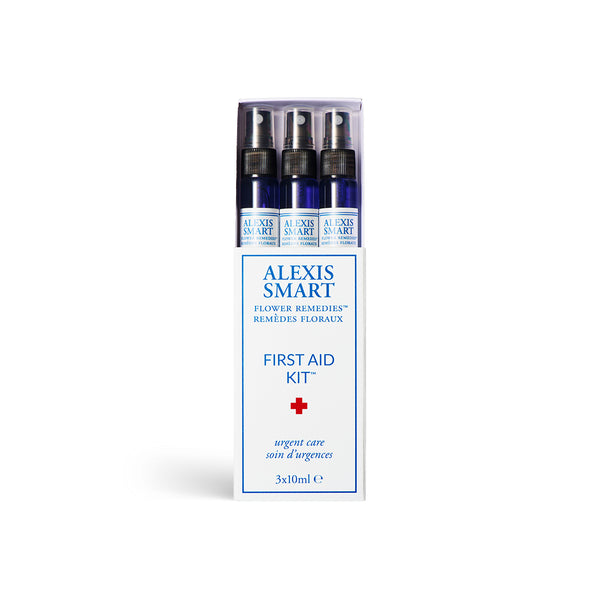 Alexis Smart - Mini First Aid Kit - CAP Grocery